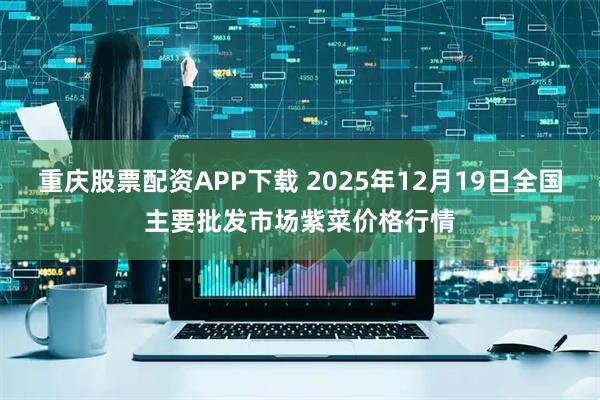 重庆股票配资APP下载 2025年12月19日全国主要批发市场紫菜价格行情