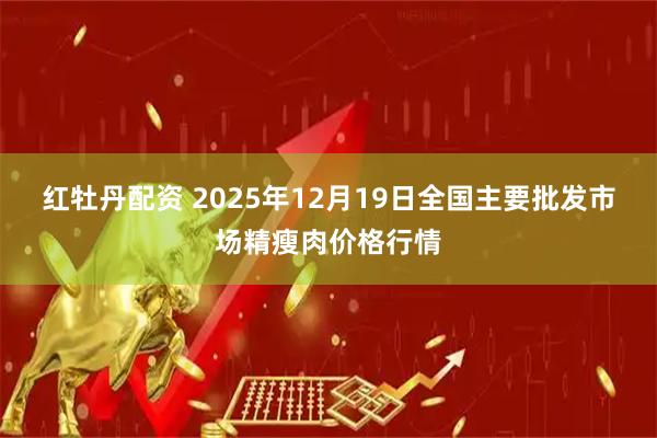 红牡丹配资 2025年12月19日全国主要批发市场精瘦肉价格行情