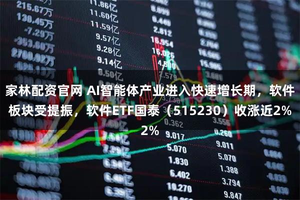 家林配资官网 AI智能体产业进入快速增长期，软件板块受提振，软件ETF国泰（515230）收涨近2%